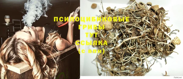 spice Балабаново